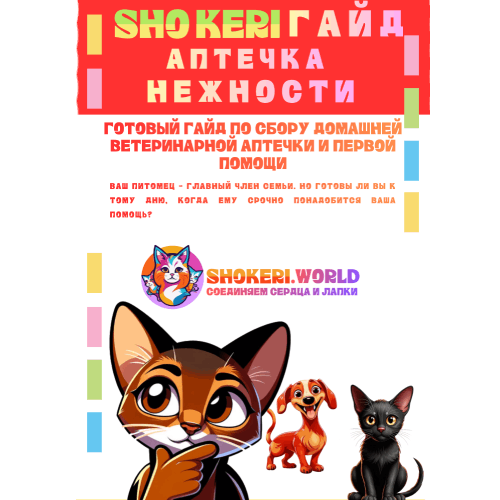 Аптечка нежности: готовый гайд по сбору аптечки и первой помощи