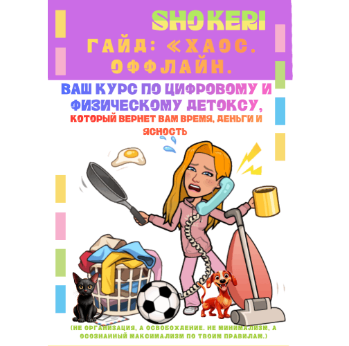 «Курс по осознанному потреблению и организации пространства»