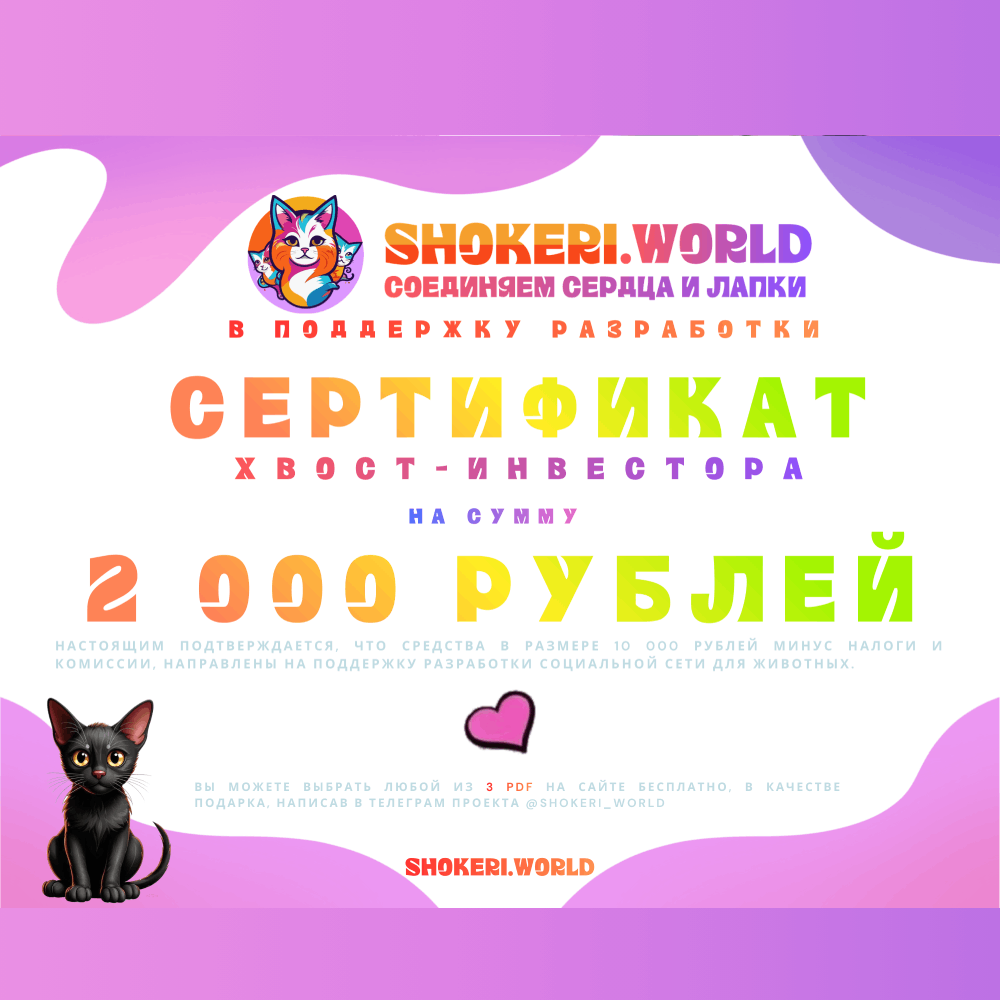 Подарочный сертификат на разработку на сумму 2000 руб