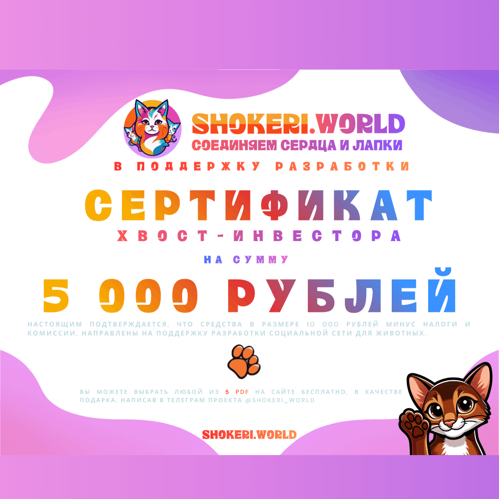Подарочный сертификат на разработку на сумму 5000 руб